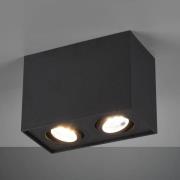 Biscuit loftlampe, 2 lyskilder, sort