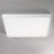 Tara mega LED-loftlampe, 89 cm x 89 cm