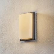 Udendørs LED-væglampe Babett, stål, glas, sensor
