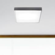 Apolo loftlampe, IP44, 50 cm, krom