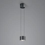 BANKAMP Impulse Flex LED-hængelampe 1 lysk. sort