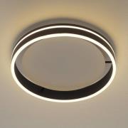 Paul Neuhaus Q-VITO LED-loftslampe 40 cm antracit