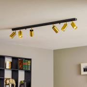 Loftspot Eye Spot 6 lyskilder, sort/messing