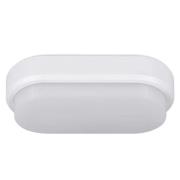 Bulkhead - oval LED-loftlampe