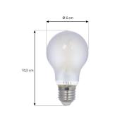 LED-filamentpære, mat, E27, 5W, 3000K, 1060 lm