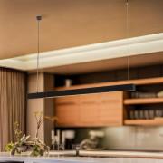 Hængelampe Lungo, sort, længde 124 cm