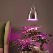 Paulmann Neordic Hilla hængelampe, børstet jern