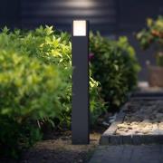 Philips Arbour A-Label LED-gadelampe, antracit