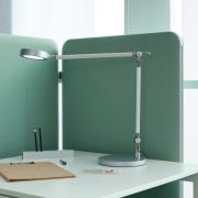 MAULgrace LED-bordlampe, sølvfarvet, 37 cm, dæmpbar, CCT