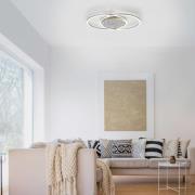 Paul Neuhaus Yuki LED-loftlampe, rund form