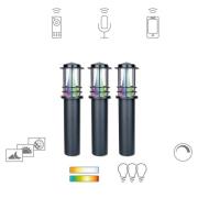 Müller Licht tint Petunia LED-gadelampe sæt med 3 stk