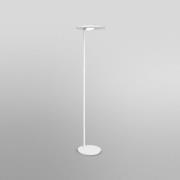 LEDVANCE SUN@Home Panan Floor LED-gulvlampe