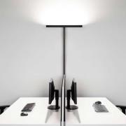 Molto Luce Concept Double F, dæmpbar, sort