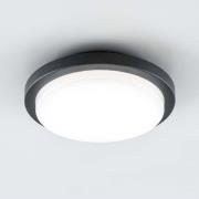 EVN Tectum LED udendørs loftlampe, rund, Ø 24,6 cm