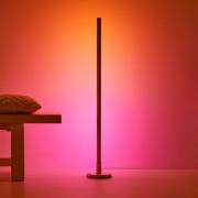 WiZ LED-gulvlampe Pole, Tunable White and Color
