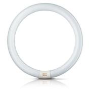 G10q 32W 840 ring-lysstofrør Master Circular TL-E