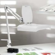 MAULvitrum LED-forstørrelseslys med klemme, hvid