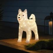 Husky LED-dekorationsfigur klar, IP44, højde 43 cm