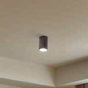 Downlight Top, 1 lyskilde, brun