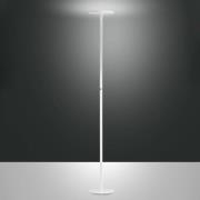 Regina LED-gulvlampe, hvid, CCT, dæmpbar, højde 180 cm