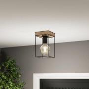 Envostar Gretter loftlampe, metal/eg, 1 lyskilde