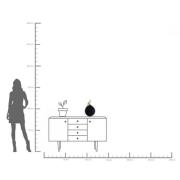 KARE Papegøjedekorationsæske, højde 40 cm, polyresin, sort, guld