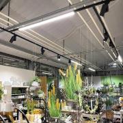 LED-skinnelampe LINEAR PRO sort 930 60 cm 3-kredsløb DALI