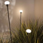 Karman LED-lampe med jordspyd MINUIT, højde 60 cm, sort, IP65