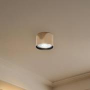 Loftspot Chloe fast, stål messingfarvet