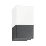 Udendørs væglampe Linus, grafit, stål, opalglas, E27
