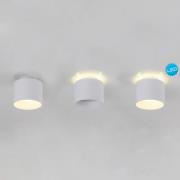 LED-loftspot Trimes, Ø 11,5 cm, hvid, CCT, trinvis dæmpbar