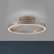 PURE LED-loftlampe Loop bronzefarvet, metal Ø 60 cm CCT