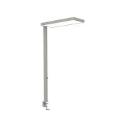 LED-klemmelampe MAULjura, sølvfarvet, dæmpbar, 100 cm