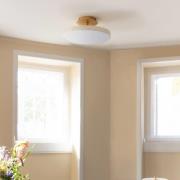 UMAGE LED-loftlampe Asteria UP PLUS, perlehvid, Ø 31 cm CCT