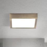 LED-loftlampe Disc, antik messingfarve, længde 14 cm, CCT