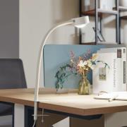 Lindby skrueklemme-lampe Jyla, hvid mat, GX53, fleksibel arm
