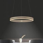 PURE LED-hængelampe E-Loop bronze, Ø 70 cm, aluminium, CCT