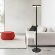 LED-gulvlampe Demy, sort, højde 170 cm, metal