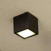 LED udendørs loftlampe GEMINI, mørkegrå, 9 x 9 cm, IP65