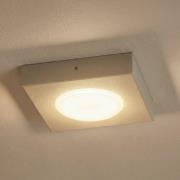 Loftslampe Hero, grå-beige, 12 x 12 cm, metal, GX53