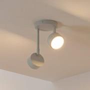 Loftspot Nemo, 2 lyskilder, grå-beige, bevægelig, GX53