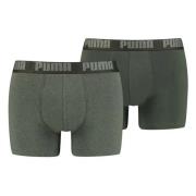 Basic 2Pack Briefs pakke