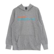 Miami Dolphins Wordmark Hoodie