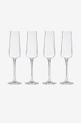 Champagneglas 4-pak Mischa