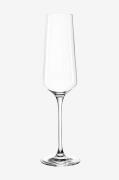 Champagneglas PUCCINI 6-pak