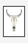 Malerifabrikken - Billede Cow skull - Beige - Billeder - - Homeroom