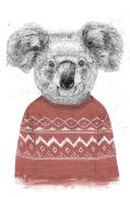 Pelcasa - Plakat Winter Koala (Red) - Hvid - Posters - - Homeroom