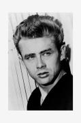 Malerifabrikken - Poster James Dean 4 - Sort - Posters - - Homeroom