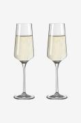 Ritzenhoff - Champagneglas Sonnenschliff 2-pak - Transparent - Vinglas...