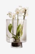 Zelected by Houze - Vase Optic - Transparent - Urtepotteskjulere & vas...